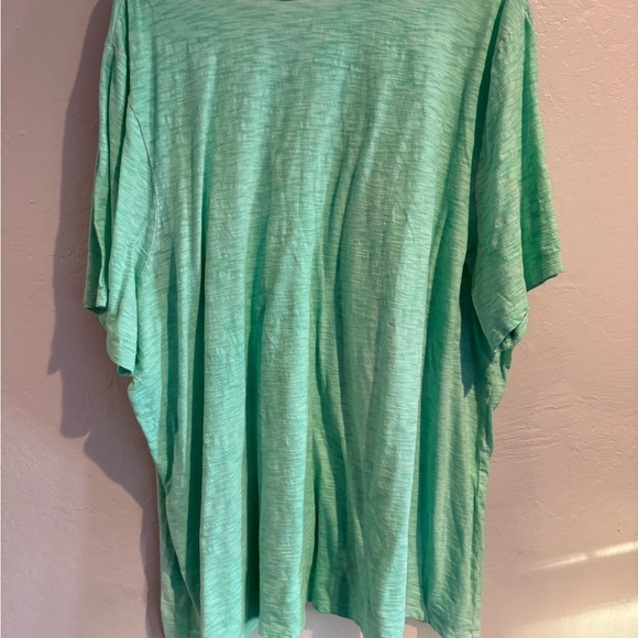 Size 34/36 - Lane Bryant Aqua Perfect Sleeve Tee - Picture 3 of 5